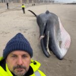 Dead Humpback Whale Washes Ashore at Rockaway Beach Amid Apparent Birthing Complications(Video)
