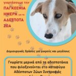 Πάτρα: Γιορτή για τα αδέσποτα ζώα την Κυριακή 5 Απριλίου στην Πλατεία Αγυιάς