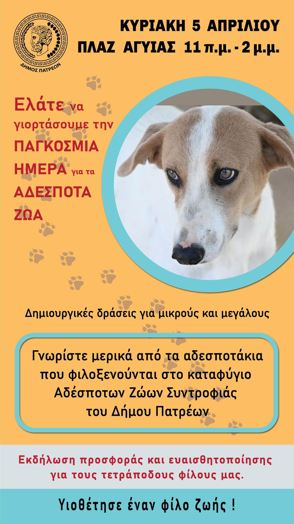 Πάτρα: Γιορτή για τα αδέσποτα ζώα την Κυριακή 5 Απριλίου στην Πλατεία Αγυιάς