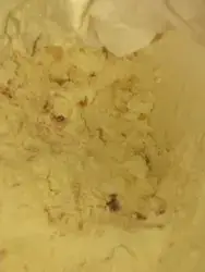 Home made Ice cream NEXT Day!!